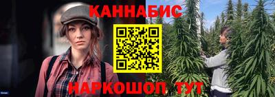 сатива Лесосибирск