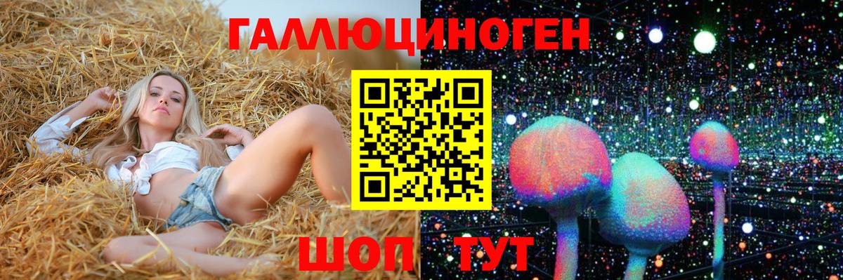 Якутск  Галлюциногенные грибы Psilocybine cubensis  Вход с VPN 